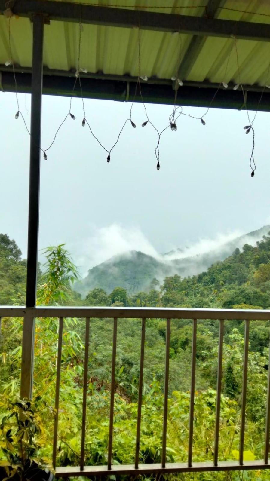 Neav At The Misty Valley Kakkadampoyil
